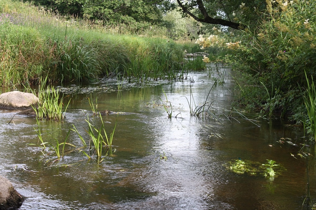 Река Нейма, image of landscape/habitat.