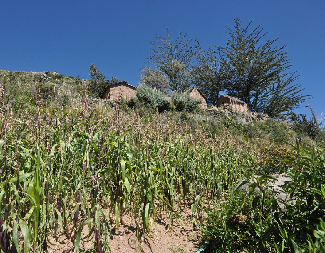 Остров Такиле, image of landscape/habitat.