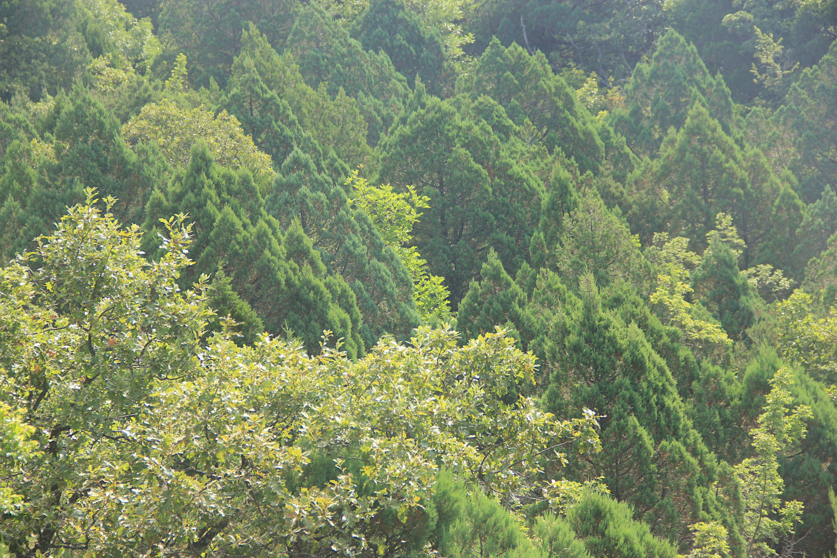 Пенайская щель, image of landscape/habitat.