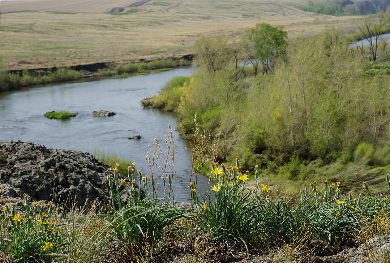 Каменка, image of landscape/habitat.