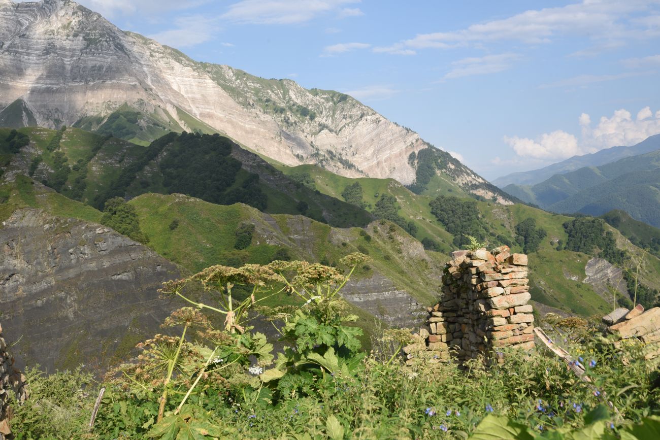 Урочище Цеси, image of landscape/habitat.