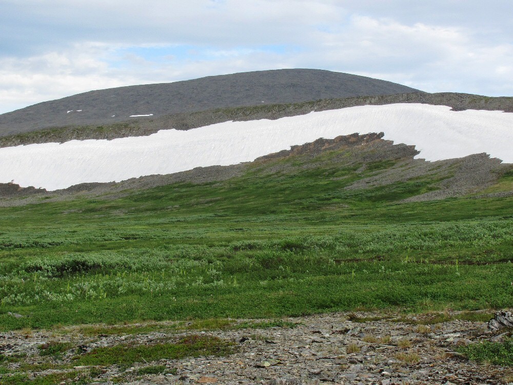 Верховья Нияю, image of landscape/habitat.