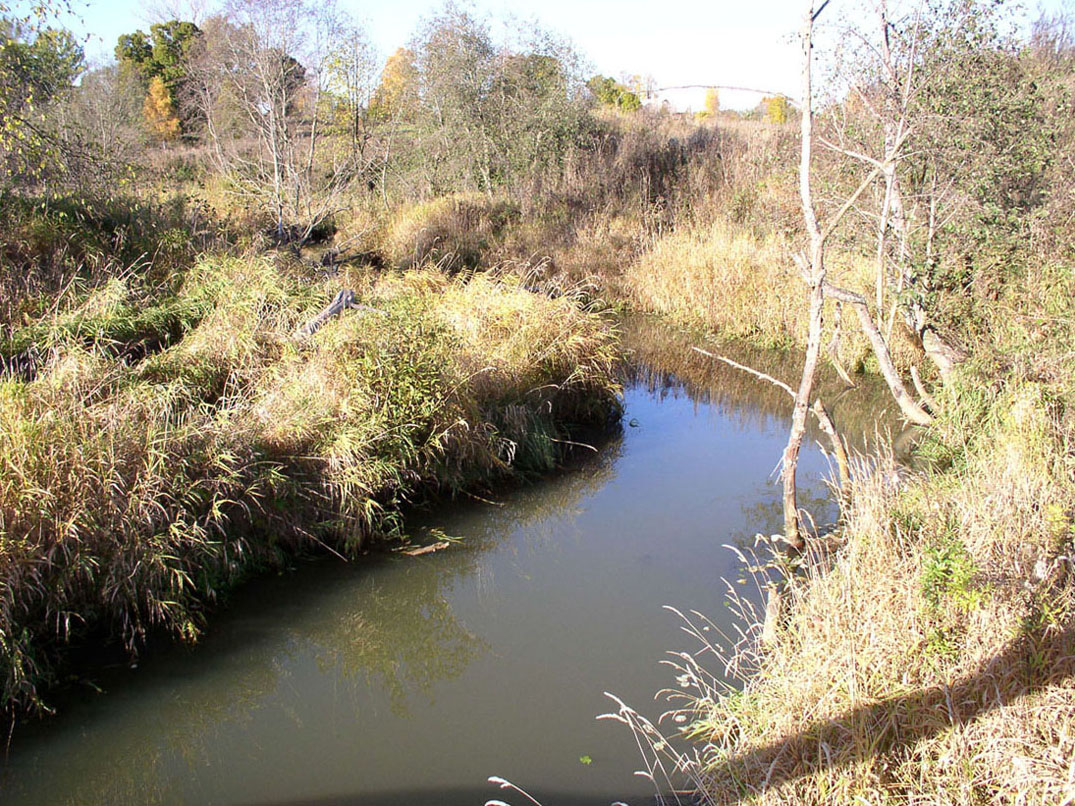 Латка, image of landscape/habitat.