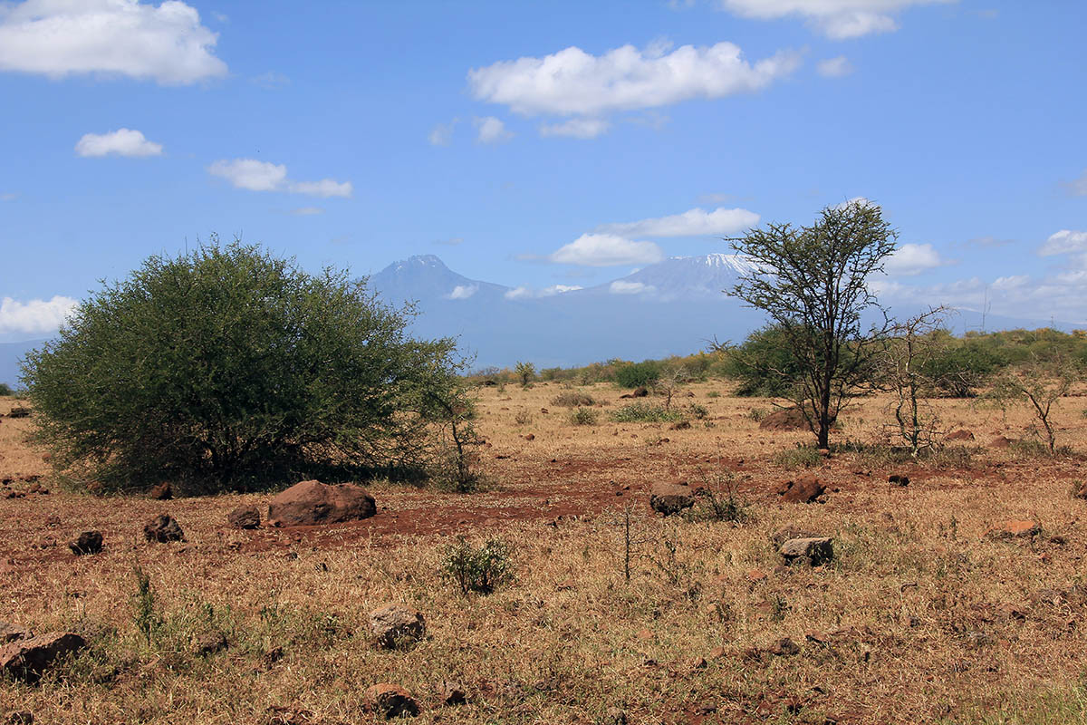 Амбоссели, image of landscape/habitat.