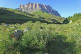 Псыгансу в верхнем течении, image of landscape/habitat.