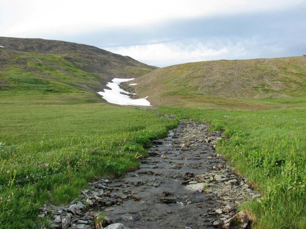 Верховья Нияю, image of landscape/habitat.