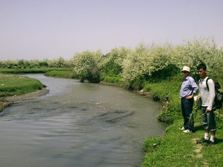 Река Зеравшан, image of landscape/habitat.