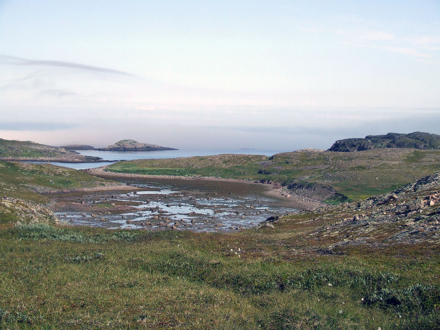 Шельпинская губа, image of landscape/habitat.