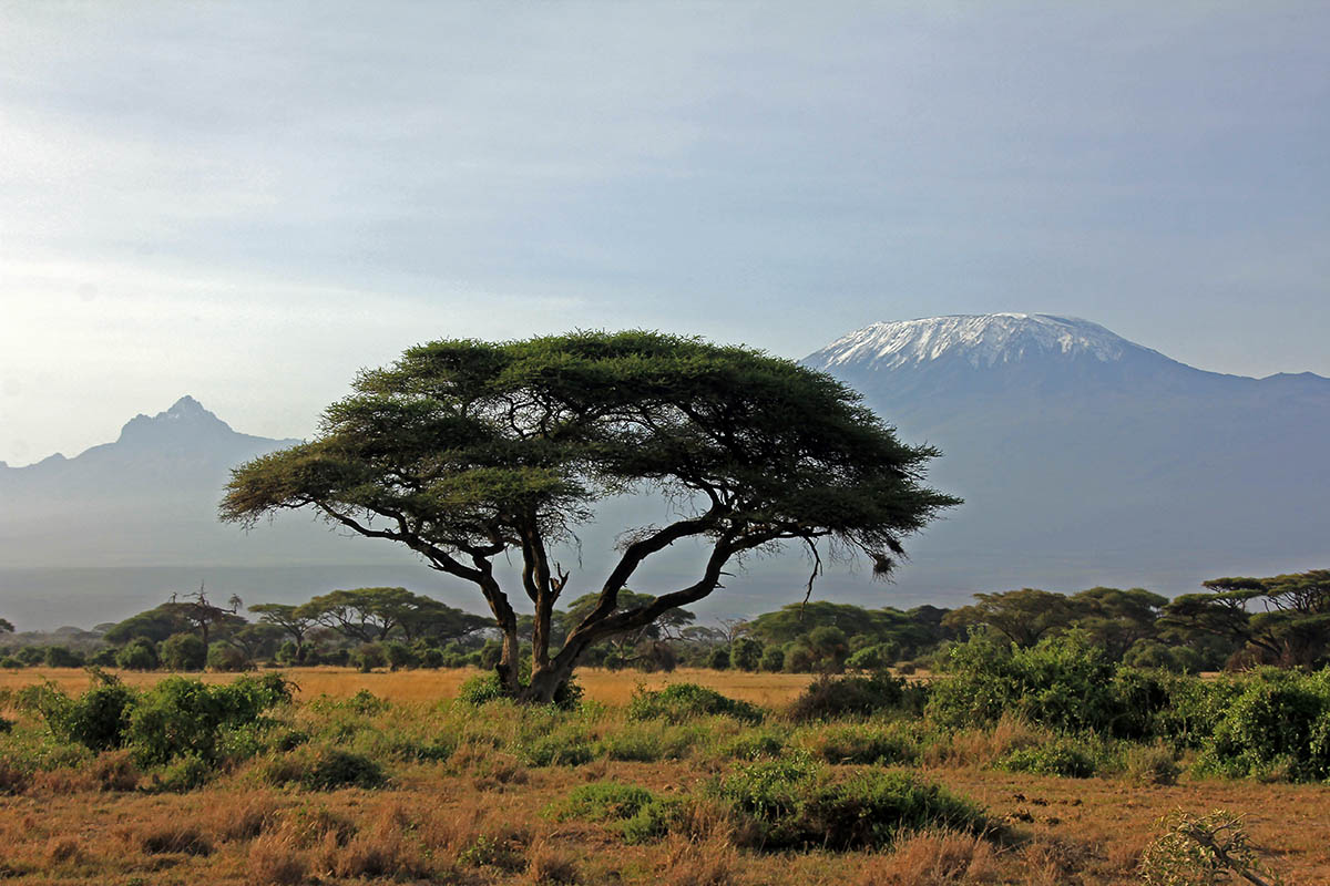 Амбоссели, image of landscape/habitat.