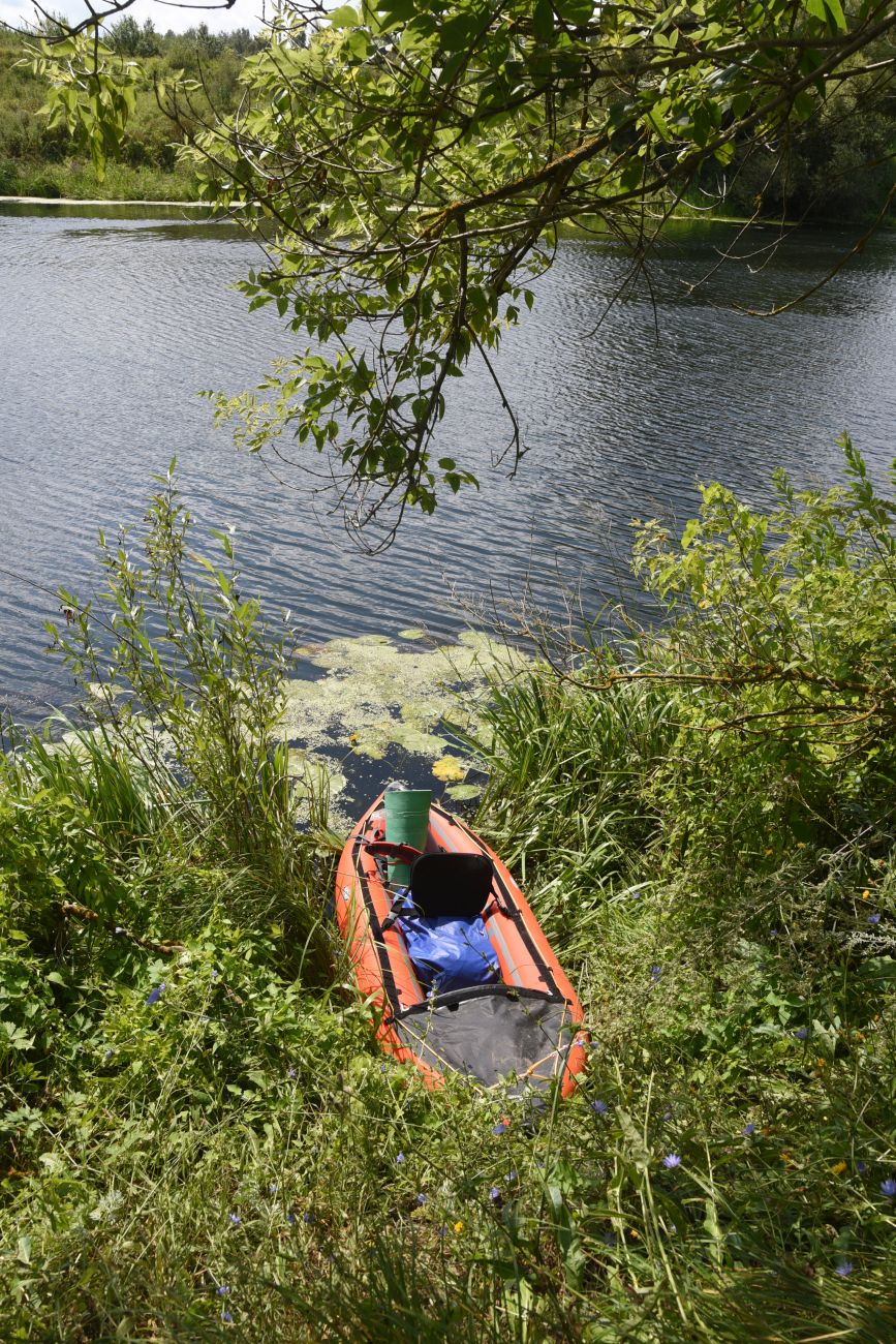 Крутой лес, image of landscape/habitat.