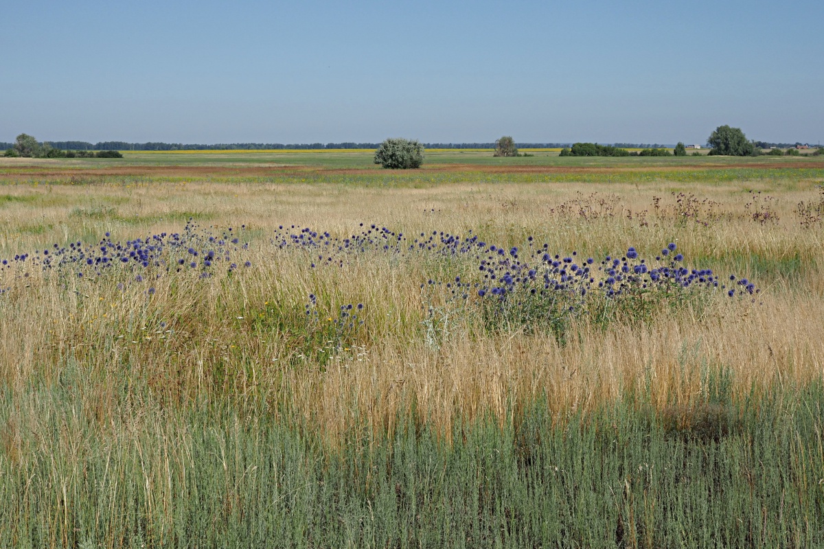 Долины рек Авраль, image of landscape/habitat.