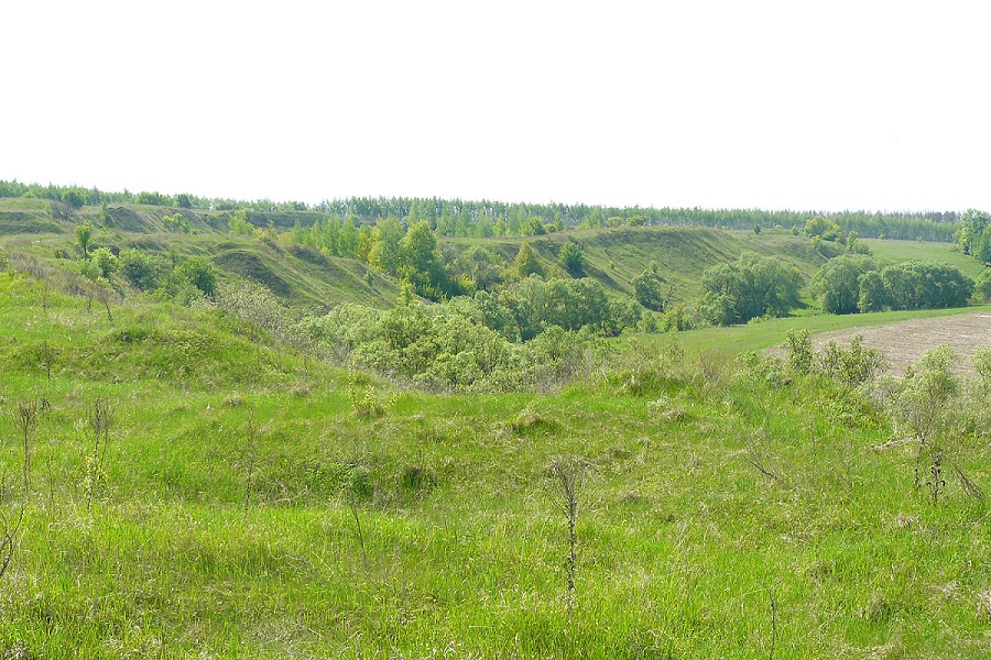 Долина Рыбницы, image of landscape/habitat.