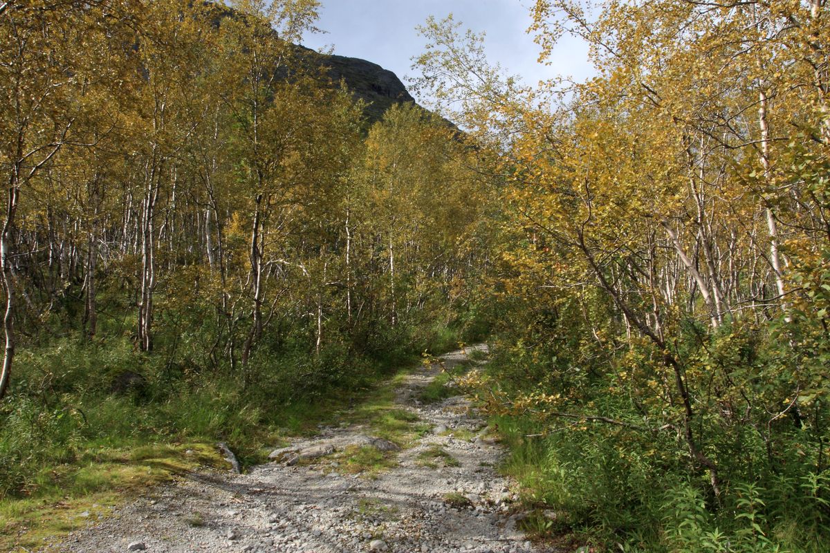 Долина Малого Вудъявра, image of landscape/habitat.