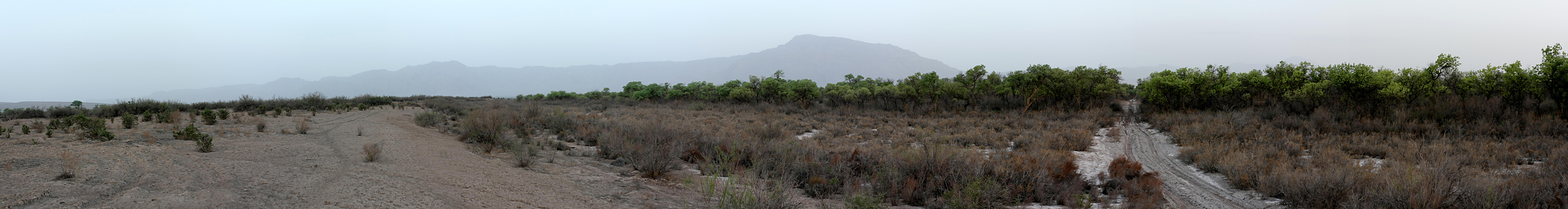 Заповедник "Тигровая балка", image of landscape/habitat.