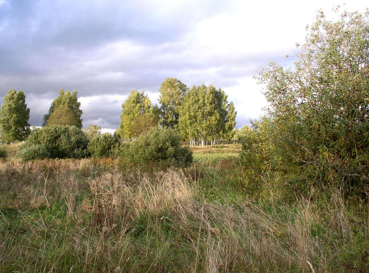 Латка, image of landscape/habitat.