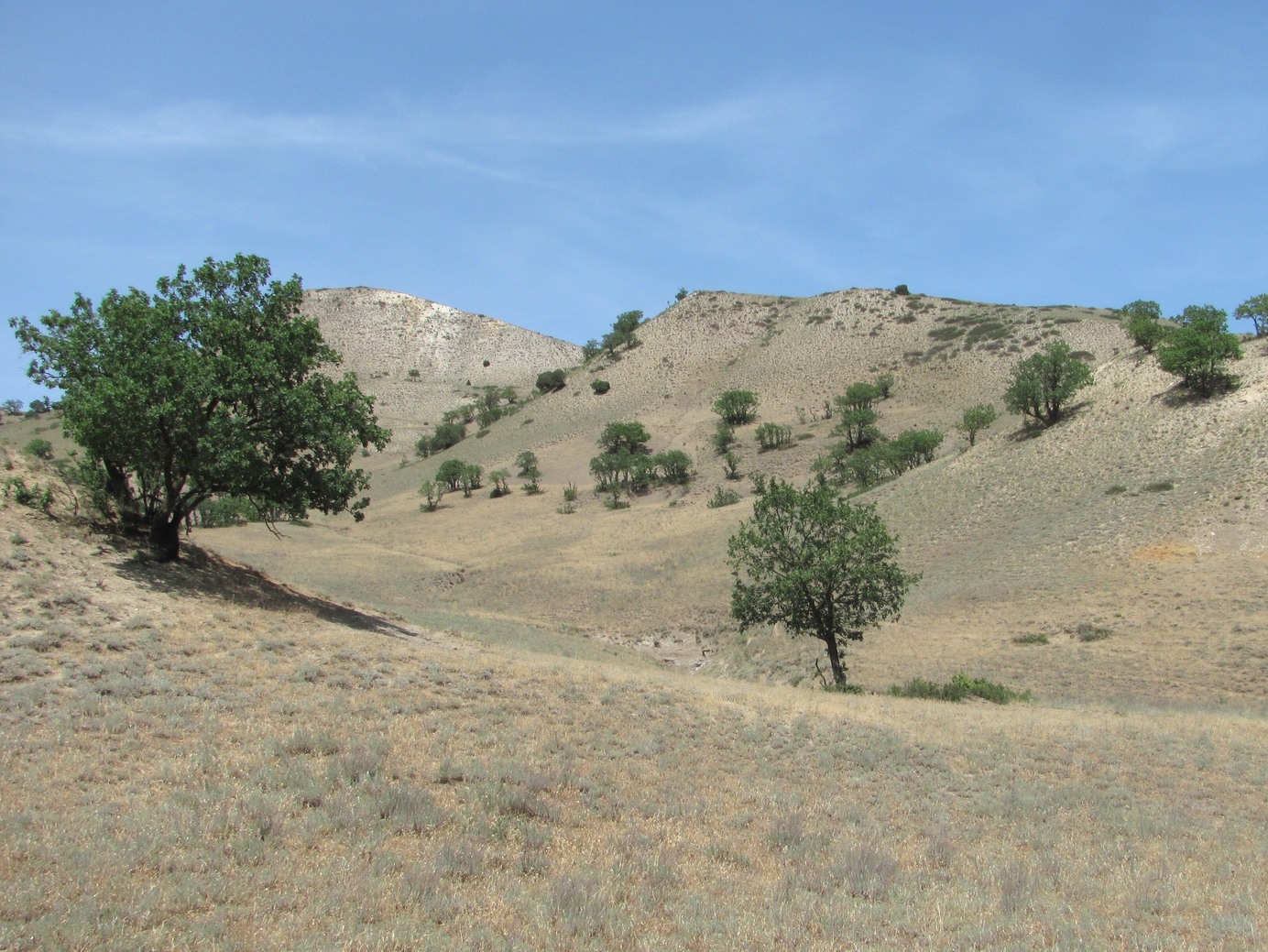 Талги, image of landscape/habitat.