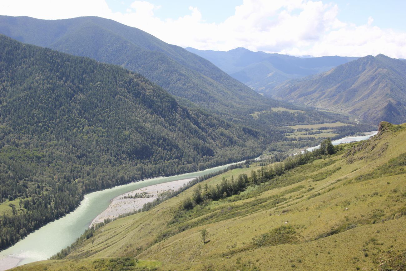 Окрестности лога Ядрушка, image of landscape/habitat.