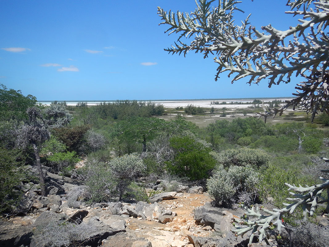 Циманампецуца, image of landscape/habitat.