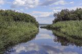 Кунчурихинский бор, image of landscape/habitat.