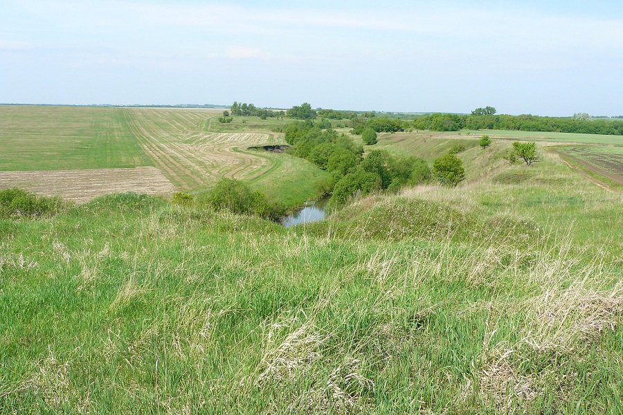 Долина Рыбницы, image of landscape/habitat.