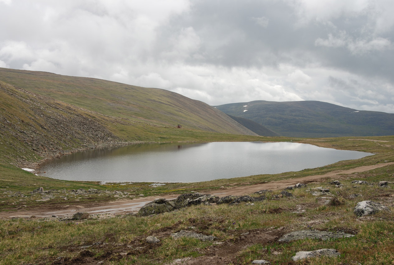 Перевал Тёплый Ключ, image of landscape/habitat.