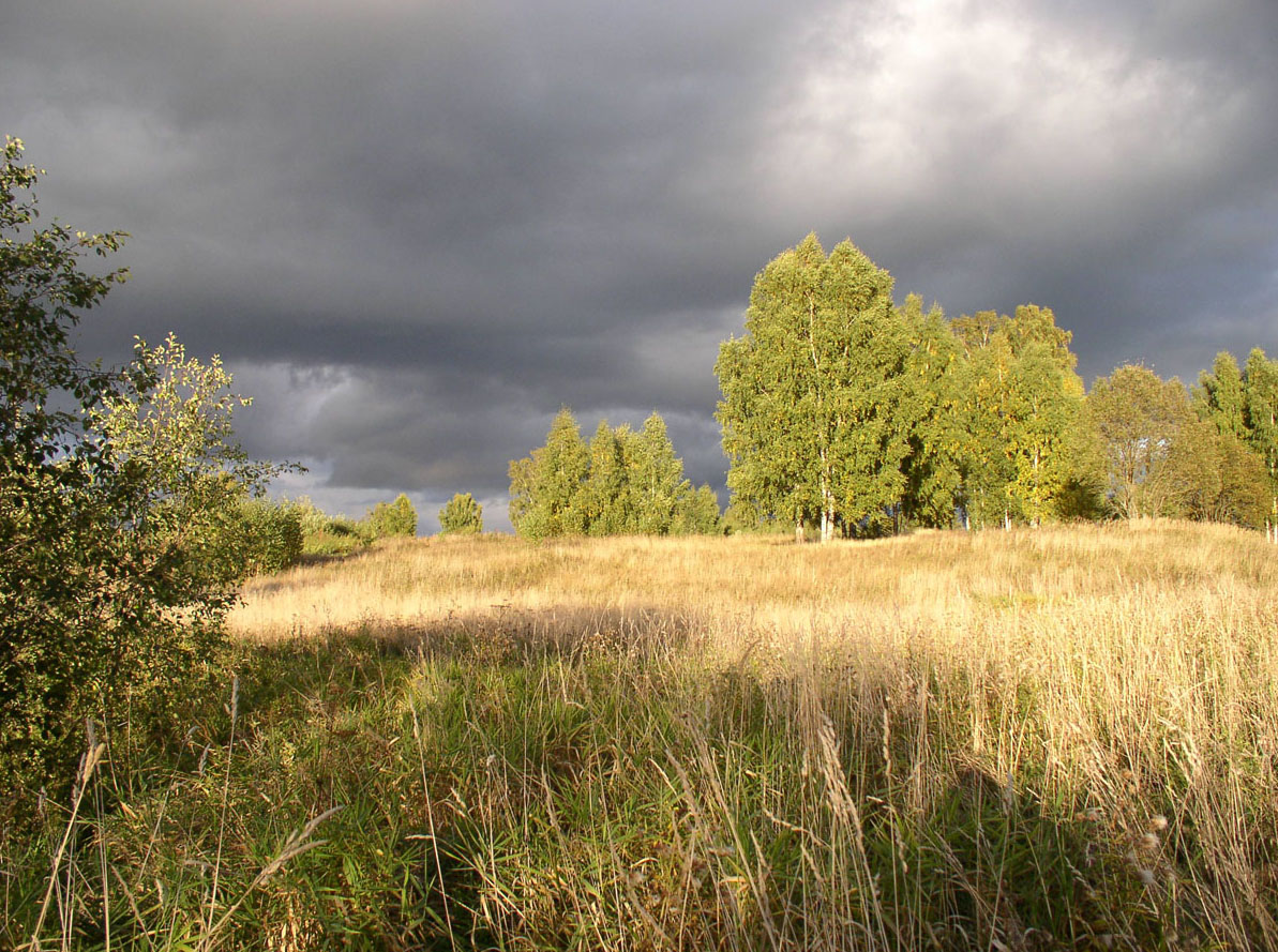 Латка, image of landscape/habitat.