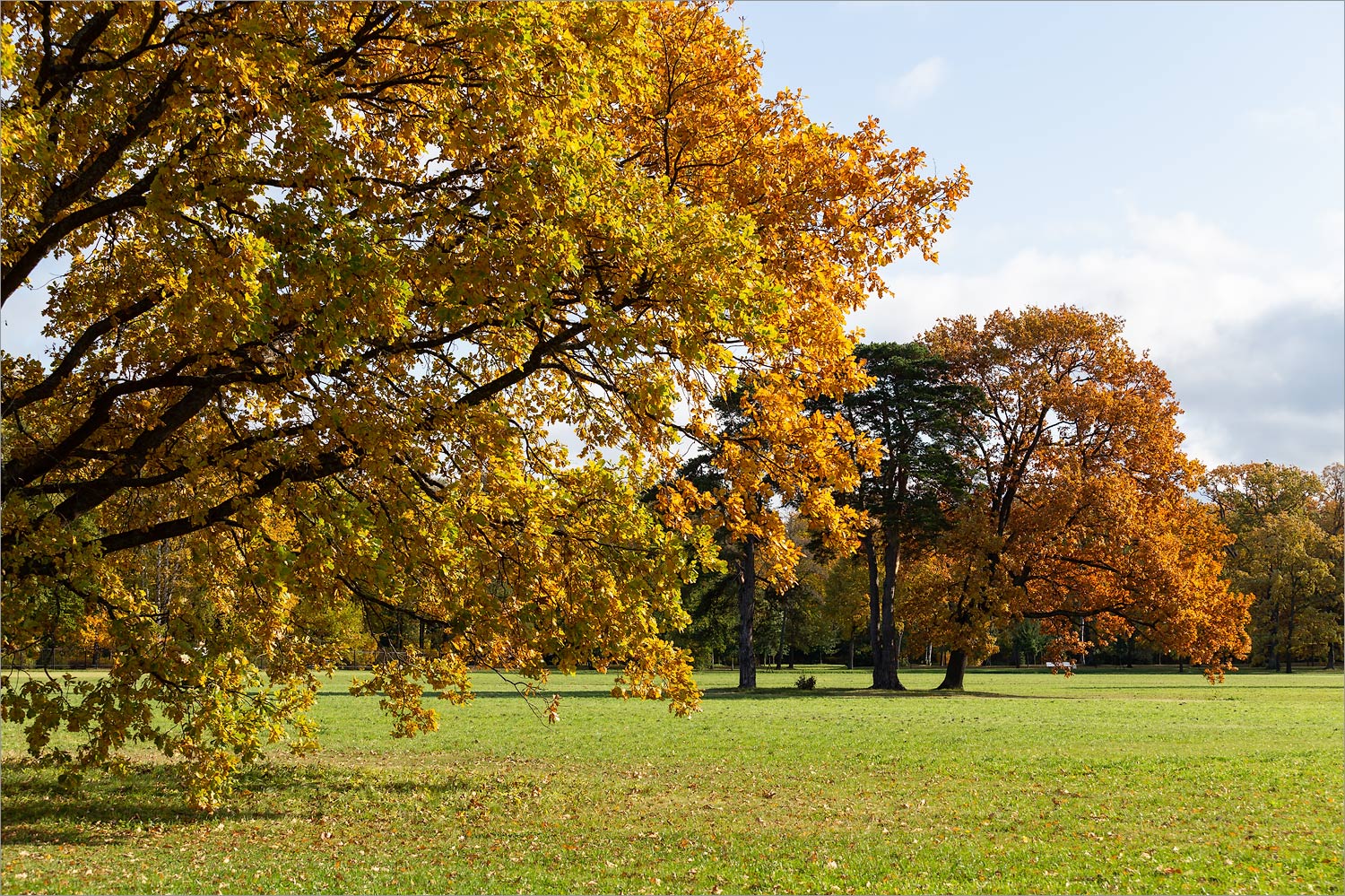 Парк "Александрия", image of landscape/habitat.