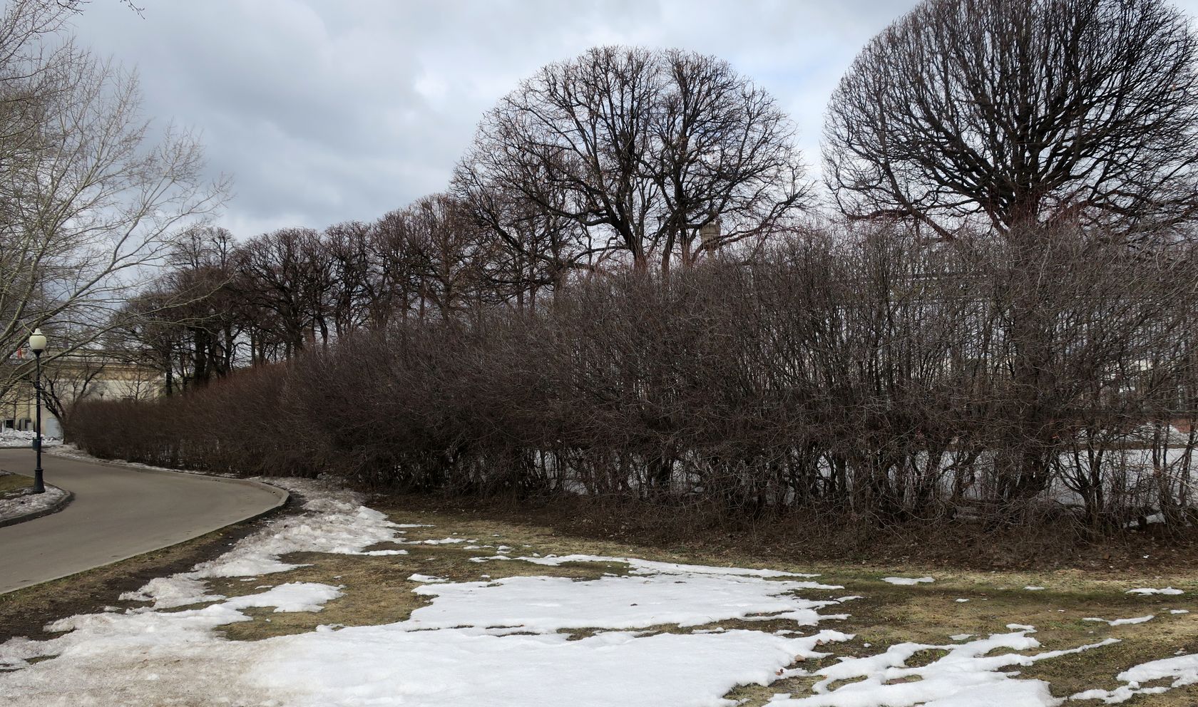 Парк Горького, image of landscape/habitat.