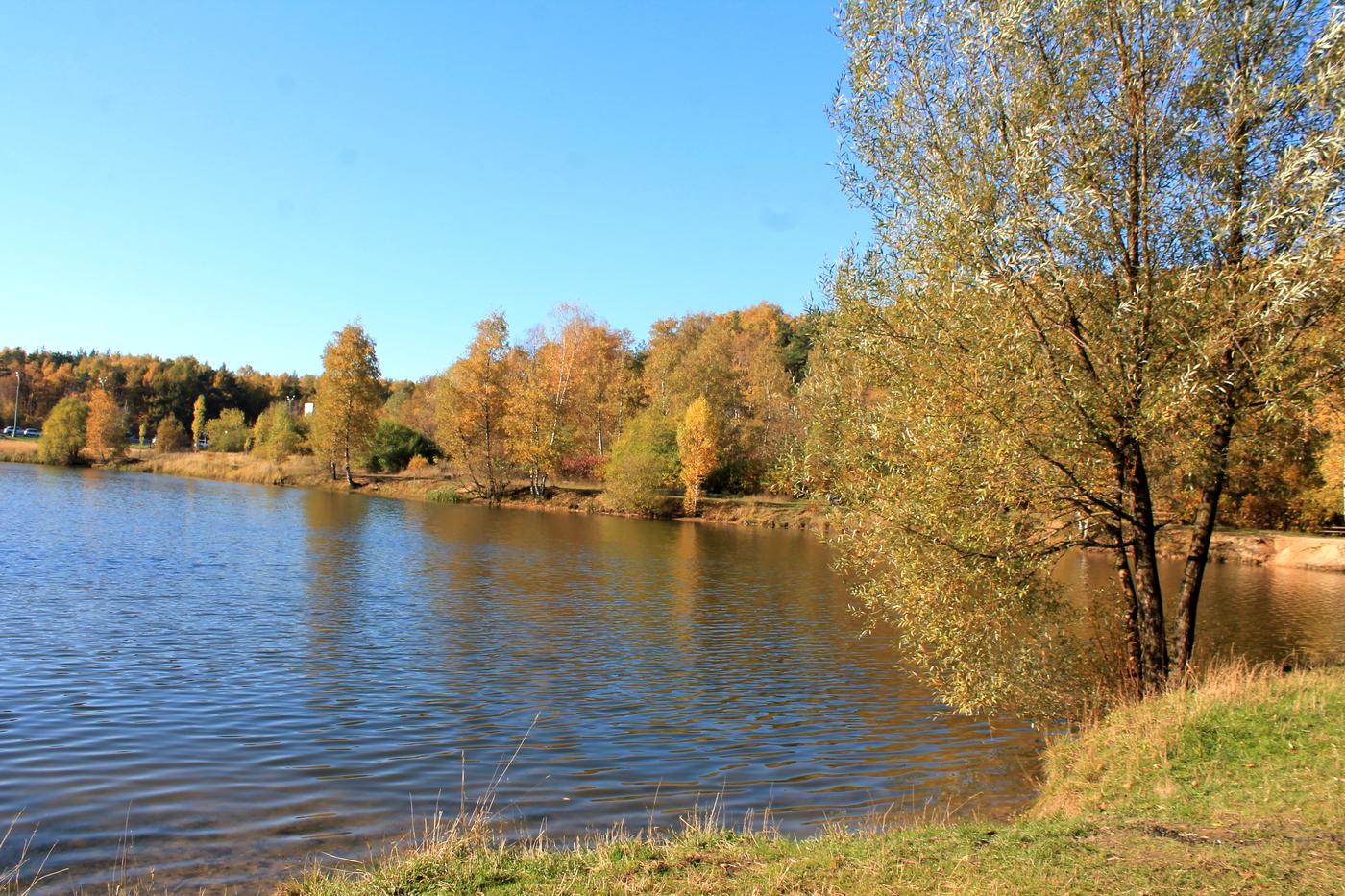 Тропарёвский заказник, image of landscape/habitat.