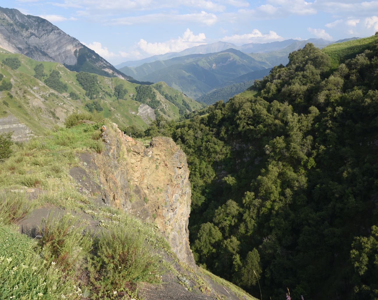 Урочище Цеси, image of landscape/habitat.