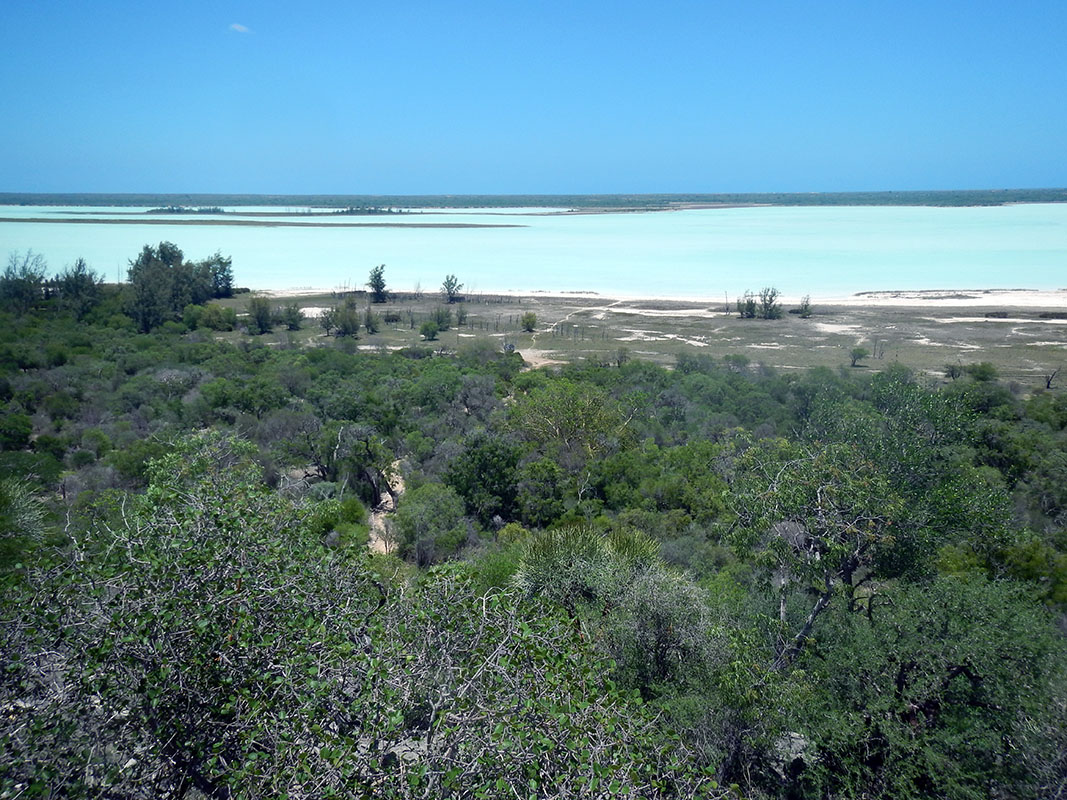 Циманампецуца, image of landscape/habitat.