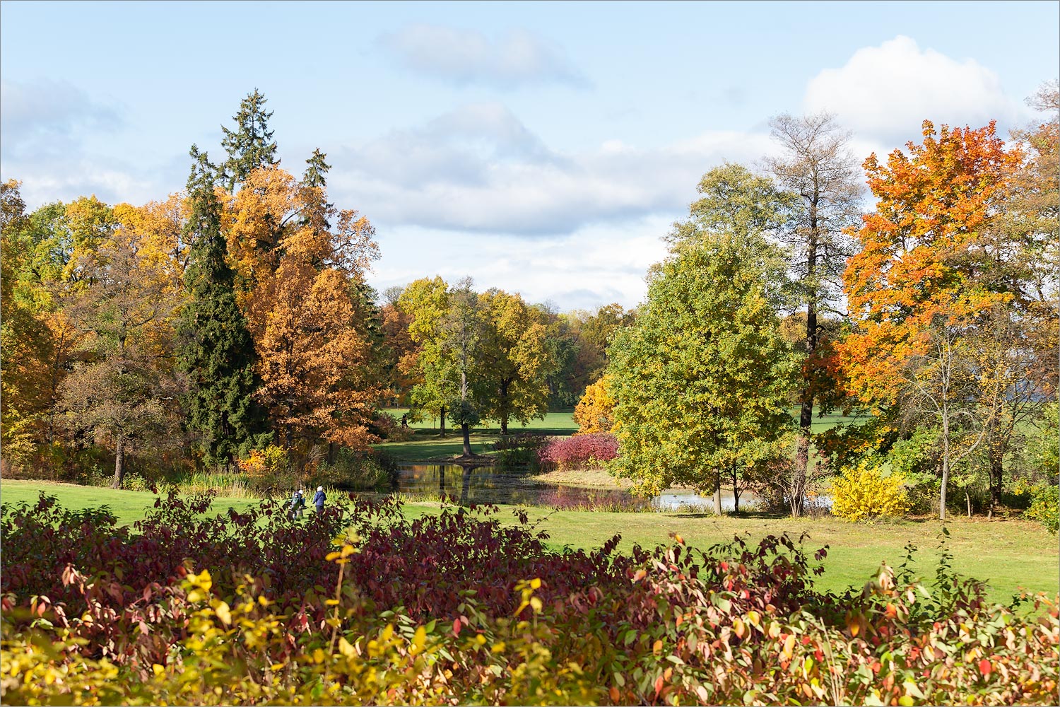 Парк "Александрия", image of landscape/habitat.