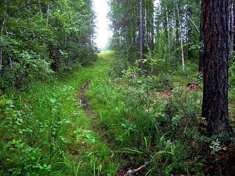 Кескил, image of landscape/habitat.