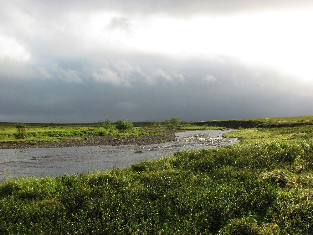 Лёкъелец, image of landscape/habitat.