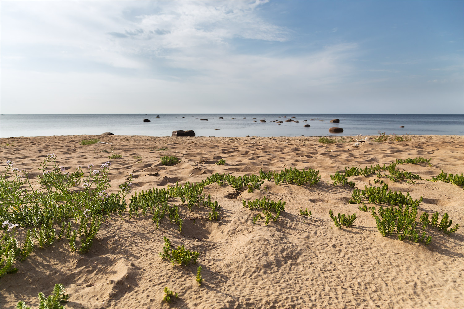 Кандикюля, image of landscape/habitat.