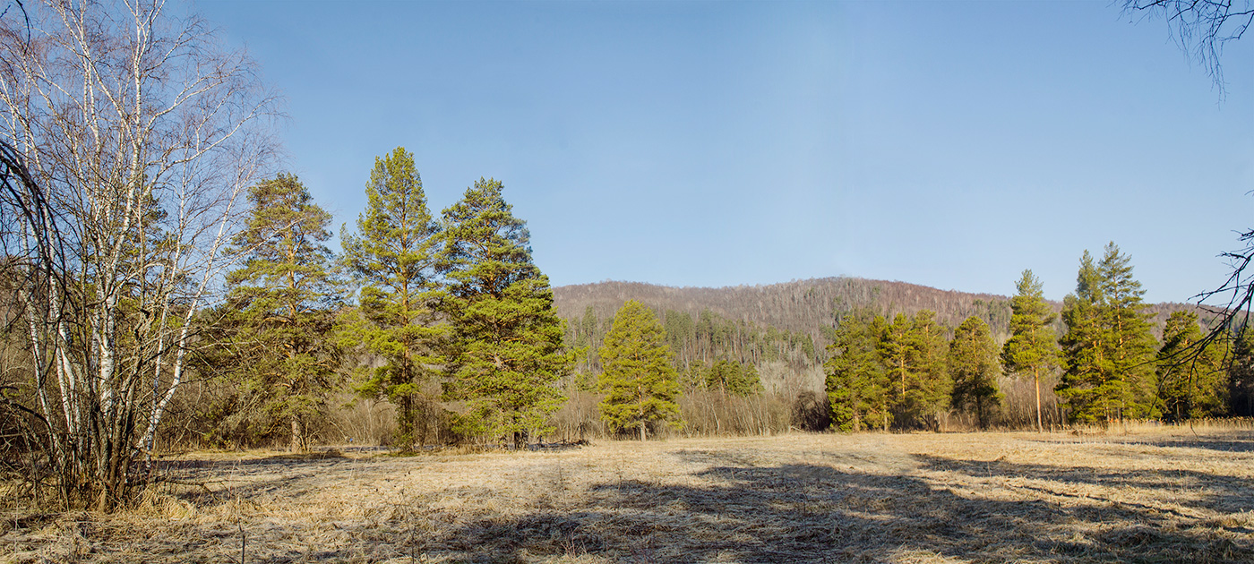 Окрестности урочища Куртаза, image of landscape/habitat.