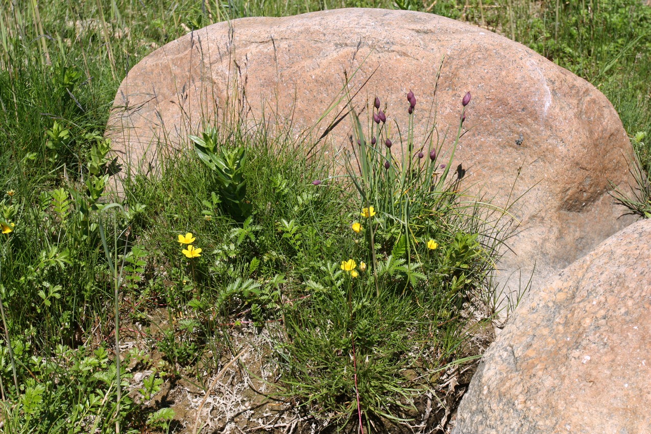 Каравалдай, image of landscape/habitat.