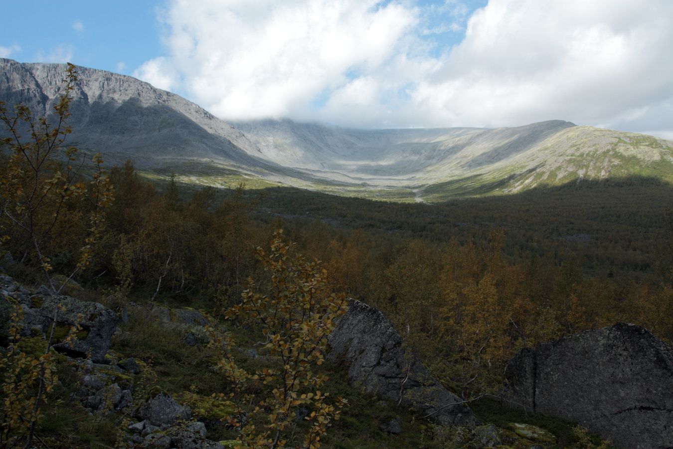 Подножье Тахтарвумчорра, image of landscape/habitat.