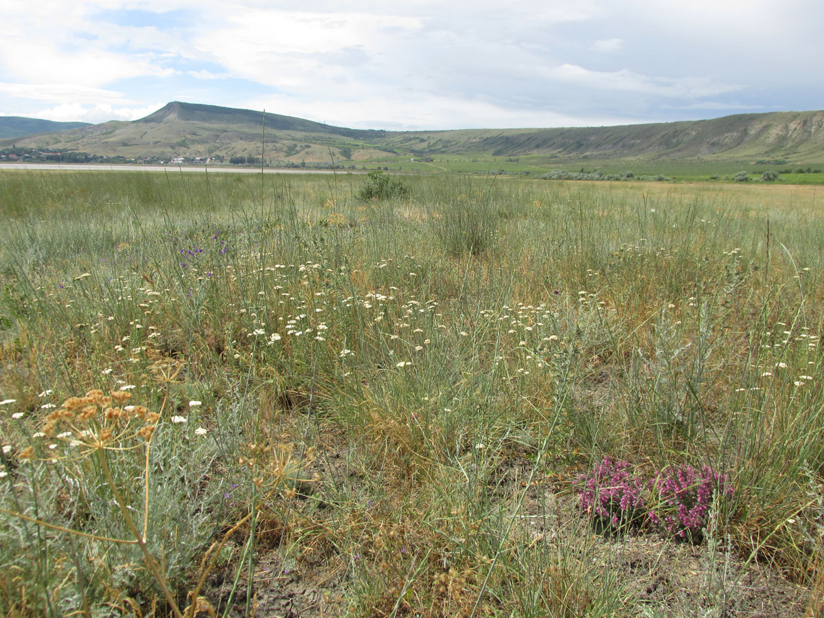 Озеро Бараколь, image of landscape/habitat.