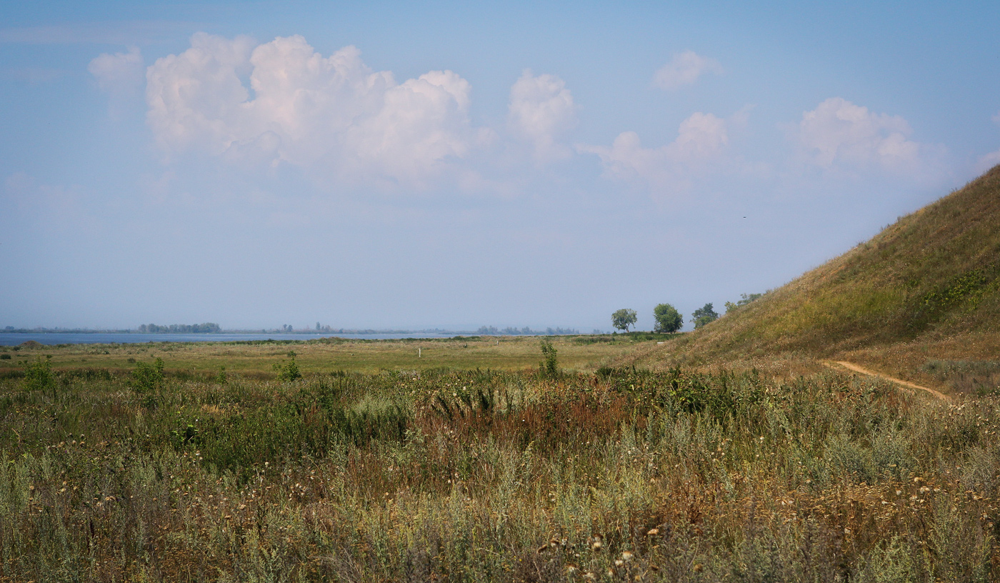 Окрестности села Красный Бор, image of landscape/habitat.