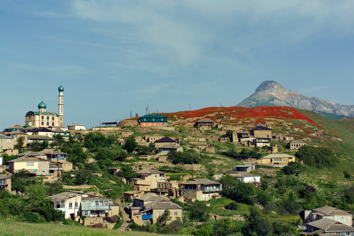 Окрестности села Новое Каракюре, image of landscape/habitat.