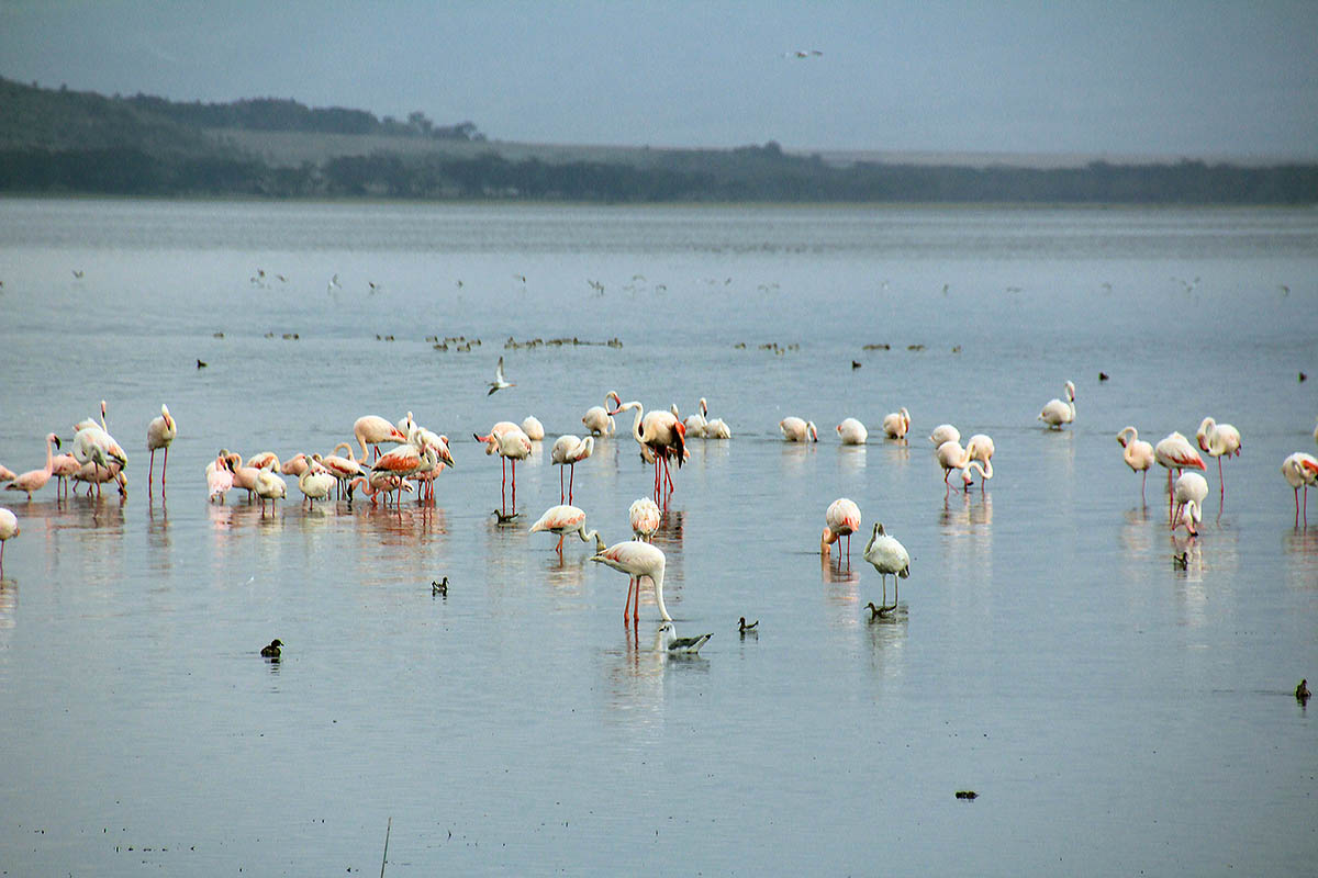 Накура, image of landscape/habitat.