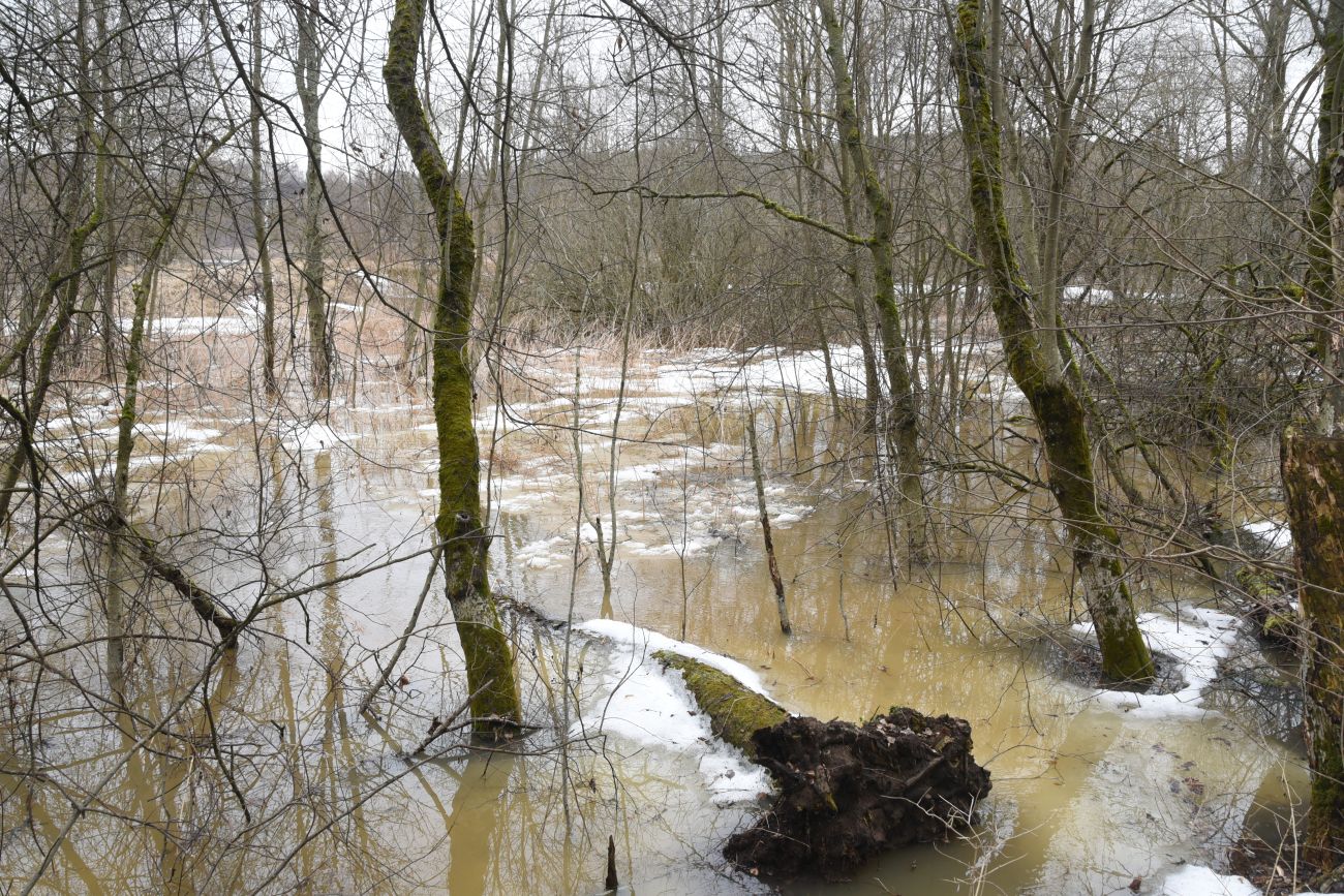 Окрестности деревни Сатино, image of landscape/habitat.