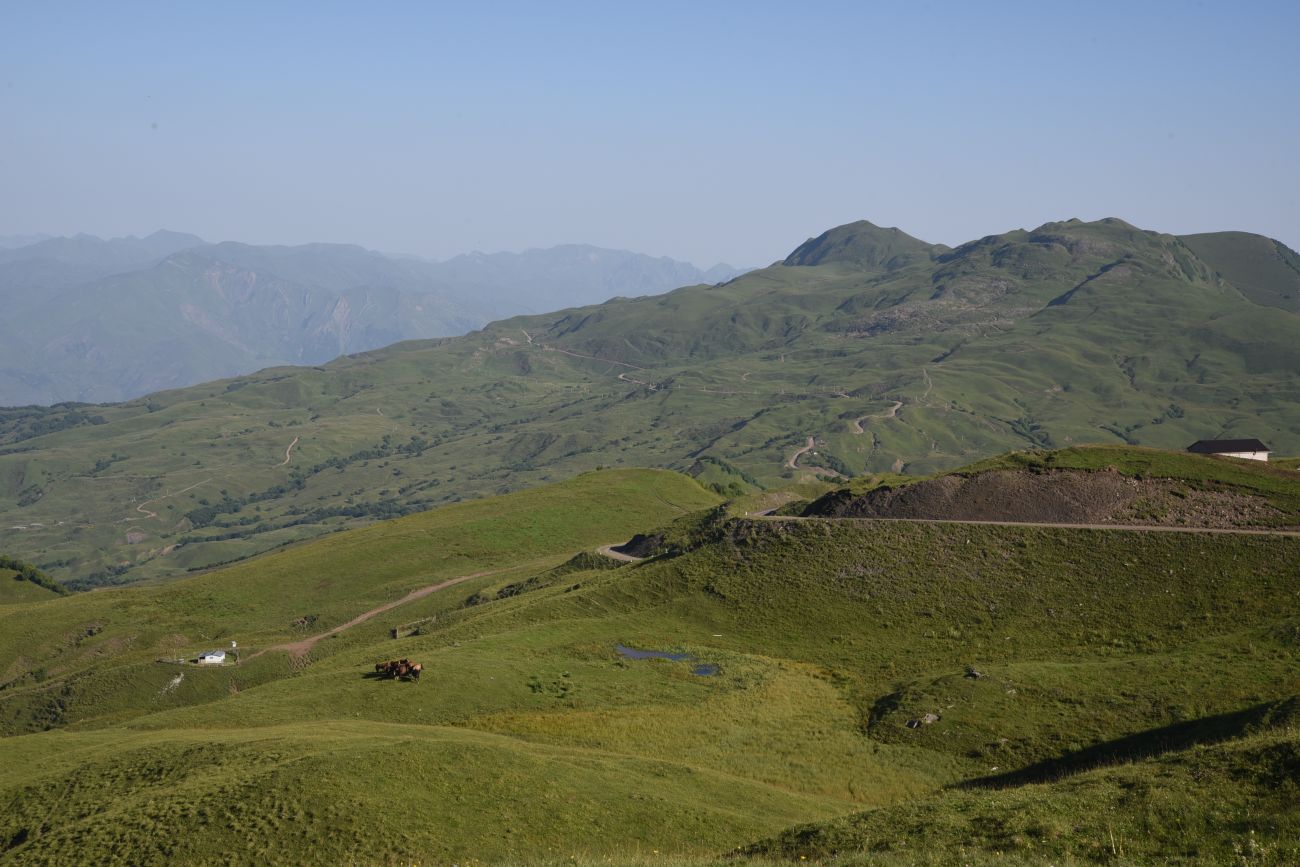 Окрестности горы Чархунышкорт, image of landscape/habitat.