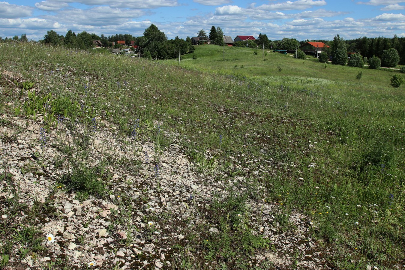 Кюрлевский карьер, image of landscape/habitat.