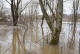 Окрестности деревни Сатино, image of landscape/habitat.