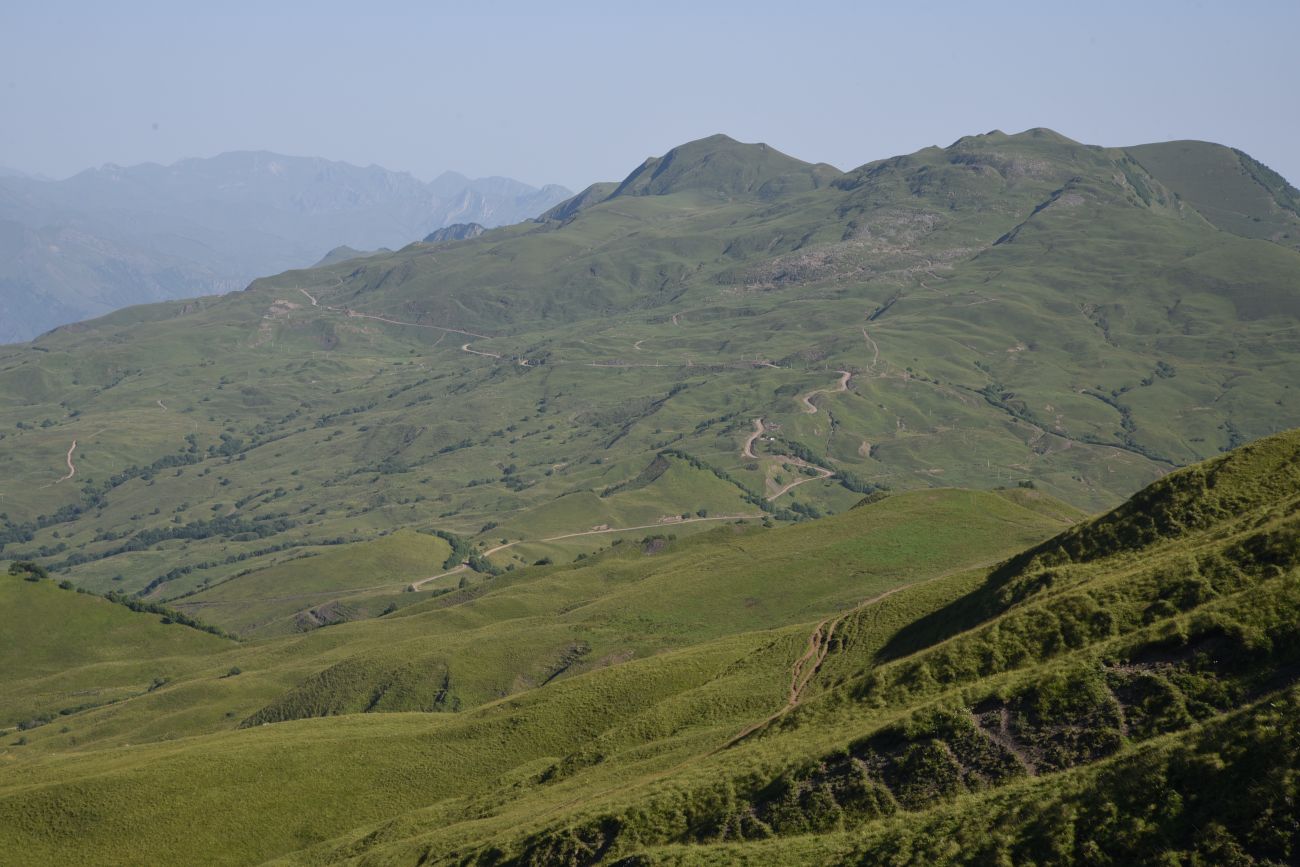 Окрестности горы Чархунышкорт, image of landscape/habitat.