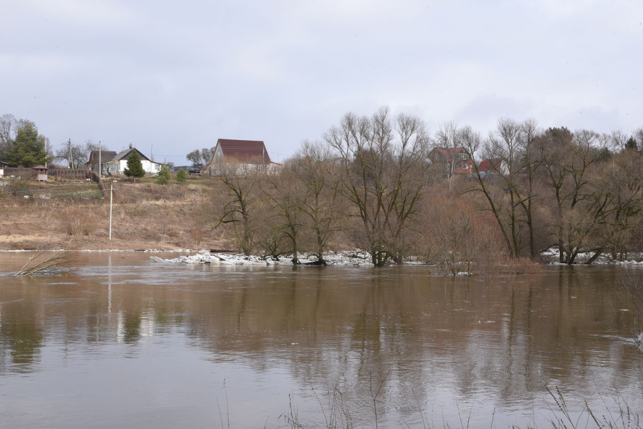 Окрестности деревни Дедюевка, image of landscape/habitat.