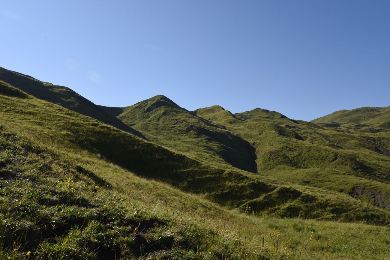 Окрестности горы Чархунышкорт, image of landscape/habitat.