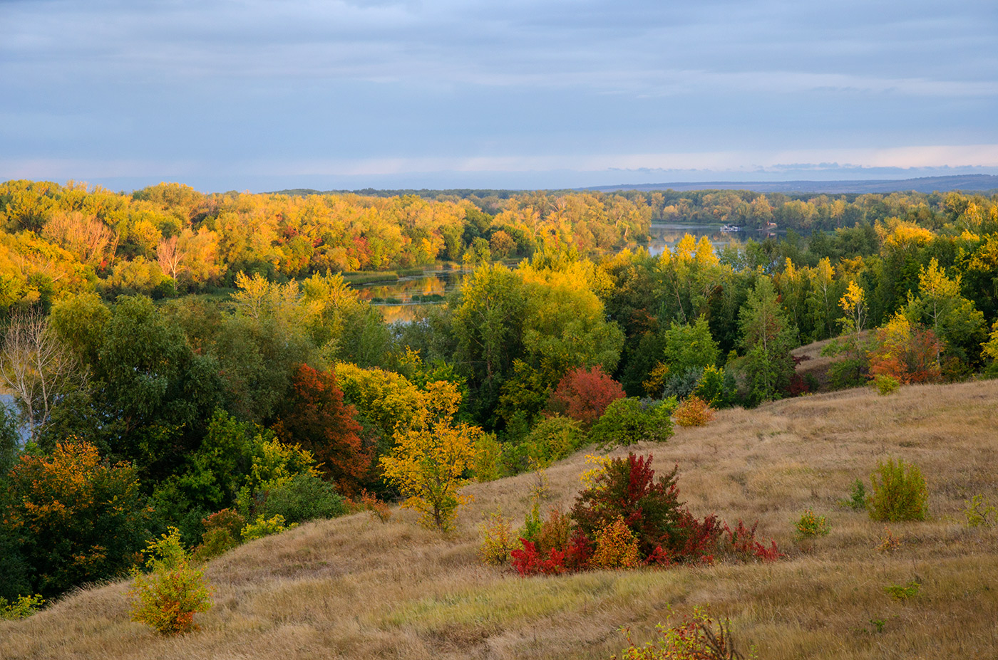 Кольцовская Воложка, image of landscape/habitat.